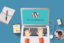 Wordpress个人资料添加额外字段-泰恩数据